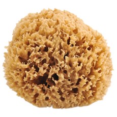 蜂巢型海綿身體清潔刷 M號, 棕色的, 1個