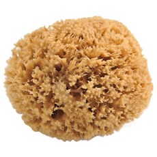 蜂巢型海綿身體清潔刷 L號, 棕色的, 1個