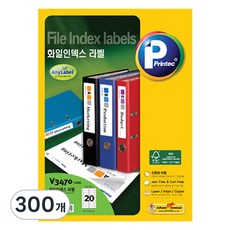 Printec Anylabel 文件索引標籤組 V3470-100, 20格, 300個