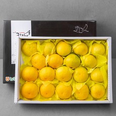 귤로장생 GAP 제주농협 황금향, 5kg(14~19입), 1박스