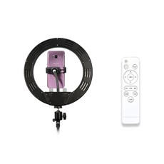 DAEHAN YouTube 1人個人直播 人物 產品 拍照 攝影 照明 環形燈, DH-U250(黑色), 1個