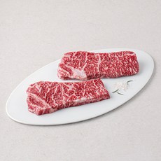 농협 한우 채끝 1등급 구이용 (냉장), 1개, 200g