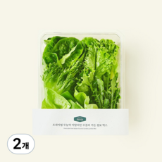 프리미엄 무농약 이탈리안 루꼴라 가든 점보 믹스, 200g, 1개입, 2개