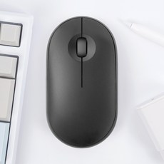 홈플래닛 저소음 조약돌 슬림 & 패블디자인 무선마우스, CM101, 블랙