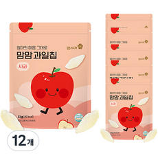 맘스미 맘맘 과일칩, 12개, 11g