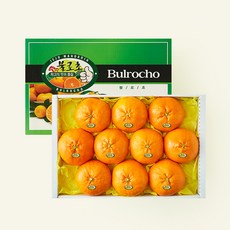 온브릭스 주식회사 농업회사법인 불로초 레드향, 1개, 3kg(9~12입)