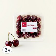 만나다 칠레산 체리, 500g, 3개