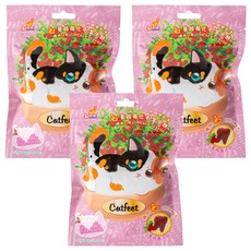 Catfeet 呼嚕愛乾淨蔓越莓化毛潔牙餅, 雞肉, 60g, 3包
