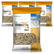 영양만점 찰진혼합 19곡, 2kg, 4개
