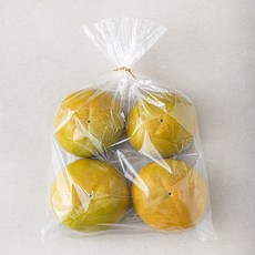 곰곰 단감, 1.2kg(특대과), 1개