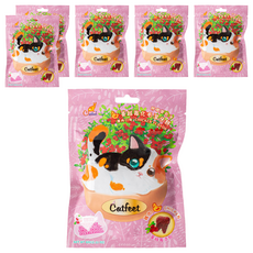 Catfeet 呼嚕愛乾淨蔓越莓化毛潔牙餅, 雞肉, 60g, 6包