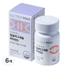 뉴트립 칼슘마그네슘 비타민D 1000 mg, 60정, 6개
