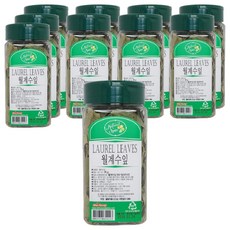 내츄럴스파이스 라우엘 리브즈 월계수잎, 25g, 10개