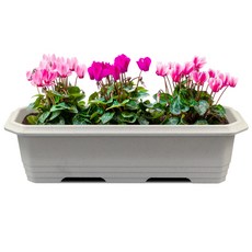 화분월드 직사각 대형 클래식 660 화분, 러브그레이, 1개