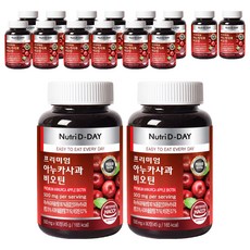 뉴트리디데이 프리미엄 아누카사과 비오틴 45g, 90정, 16개