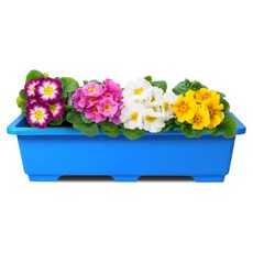 직사각 텃밭상자 베이직 3호 화분, 행복 블루, 1개