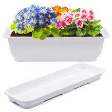 화분월드 라운드 직사각 뷰티 6호 + 받침, 순수화이트, 1개