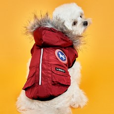DOG-i GAENADA 狗狗衣服, 酒紅色