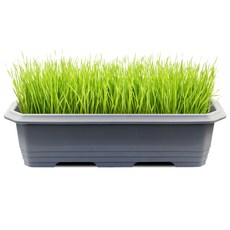 화분월드 직사각 대형 클래식 660 화분, 다크그레이, 1개