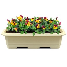 화분월드 직사각 대형 클래식 660 화분, 자연베이지, 1개