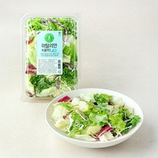 그린래빗 이탈리안 & 샐러드 Kit, 180g, 1개