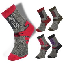 BEVERLY HILLS POLO CLUB 女式登山運動長襪5雙, 隨機出貨