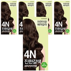 자연이랑 해든화장품 염색약, 4N진한갈색, 5개
