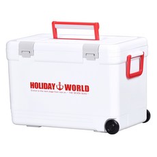 SHInWA 伸和 Holiday World 保冷箱 + 冰寶 750, 33L, 白色
