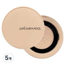 정샘물 스킨 누더 쿠션 컨실러 10g, 라이트, 5개
