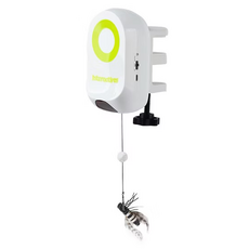 all for paws 互動系列 電動逗貓溜溜蟲, 1個, 白色