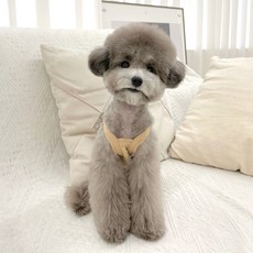 Grooming Dog 寵物連身衣服, 米色