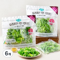팜에이트 유러피안 1일 1샐러드 with 제로슈가 드레싱, 240g, 6개