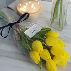 EPLYN 感性風人造鬱金香花束 10支組, 黃色, 1把