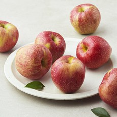 곰곰 고지대(해발 200m이상)재배 당도선별 사과, 1개, 1.3kg(소과)