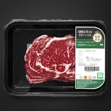 녹색한우 무항생제인증 1등급 등심 구이용 (냉장), 1개, 250g