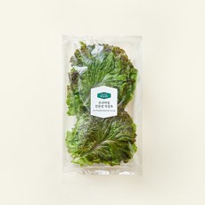 프리미엄 친환경 적상추, 120g, 1개