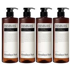 Bouquet Garni Nad 深層清潔泡沫, 500ml, 4瓶