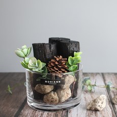 모리앤 원형유리 참숯수반 세트, 1세트