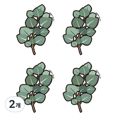 써니엔조이 제로웨이스트 식물성 셀룰로오스 압축수세미 유칼립투스, 2개, 4개입