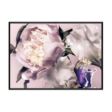 Boluo 菠蘿選畫所 相互爭豔 黑色 (BFFB4620B), 42 x 59.4cm