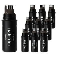라피타 새치커버 헤어틴트 10ml, 블랙, 10개