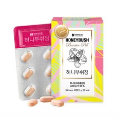 네이처드림 허니부쉬정, 1개, 30정