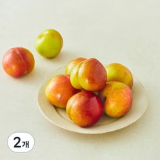 가족 의성 당도선별 자두, 1.2kg(소과), 2개