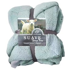 寢室安居 法蘭絨 + 羊羔絨雙層暖暖被 純色系列 1350g, 北國山川綠