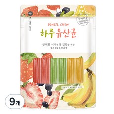 네츄럴코어 강아지 하루유산균 12p, 과일 혼합, 72g, 9개