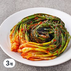진경 파김치, 500g, 3개
