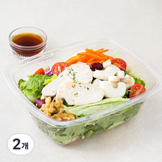 슬림쿡 닭가슴살 오징어 샐러드, 2개, 250g
