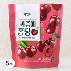 자연원 과즙에퐁당 체리, 500g, 1개입, 5개