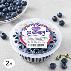 GAP 인증 상큼애 블루베리 중, 100g, 2개