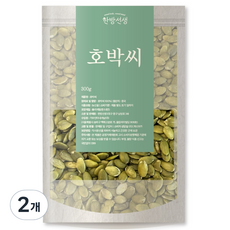 한방선생 호박씨 특품, 300g, 2개